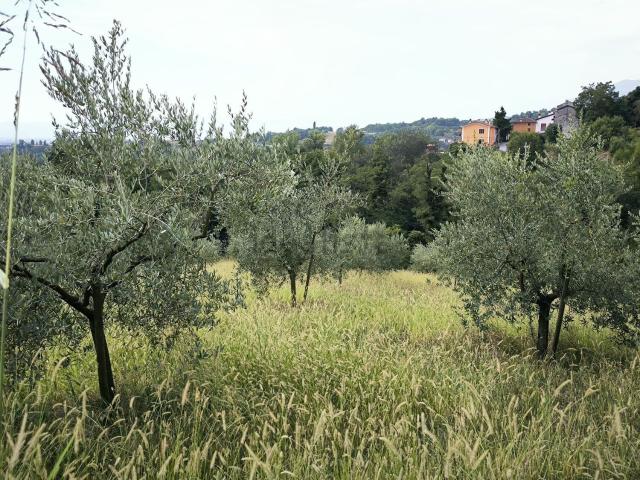 Terreno in vendita a Unione dei comuni Terre dei Peligni, Roccacasale