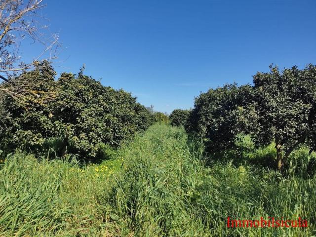 Terreno in vendita a Ispica, Sicilia