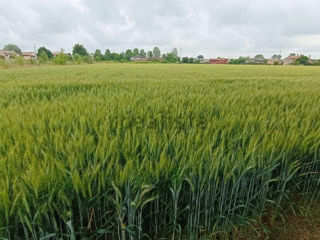Terreno in vendita a Roncade, Veneto