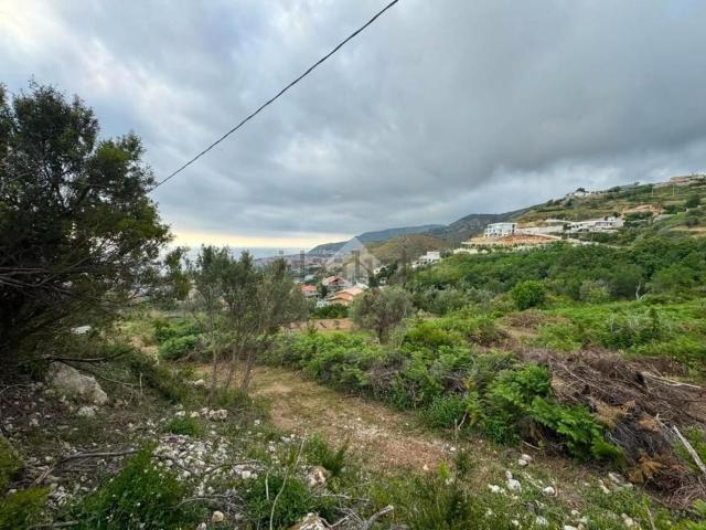 Terreno in vendita a Calabria, Cosenza