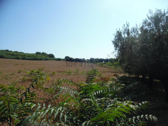Terreno in vendita a San Donato, Marche