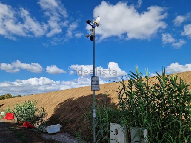 Terreno in vendita a Bibbona, Toscana