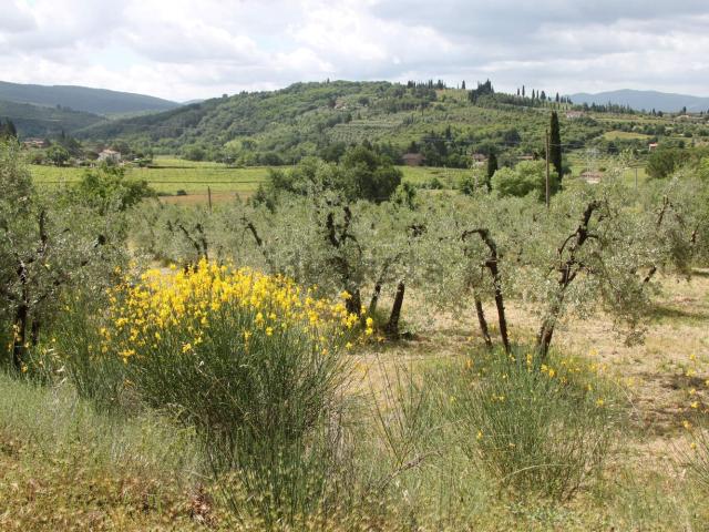 Terreno in vendita a Palazzo Del Pero, Toscana