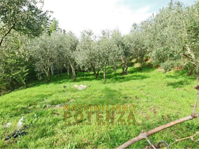 Terreno in vendita a Uzzano E Castello, Toscana