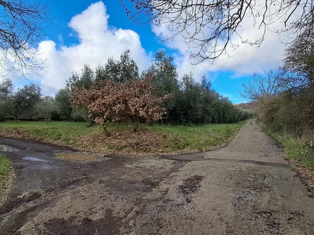 Terreno in vendita a Cevoli, Montefiascone