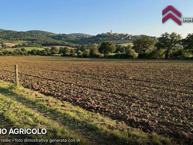 Terreno in vendita a Piancastagnaio, Siena