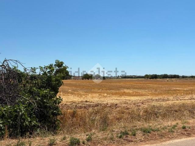 Terreno in vendita a Puglia, Taranto