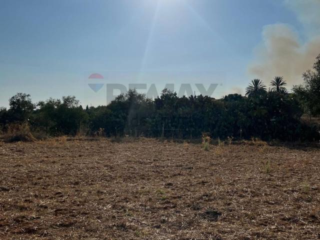 Terreno in vendita a Caltagirone, Sicilia