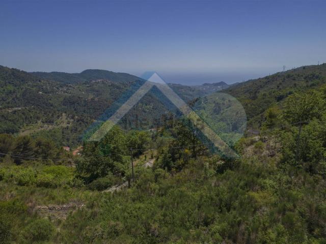 Terreno in vendita a Seborga, Liguria