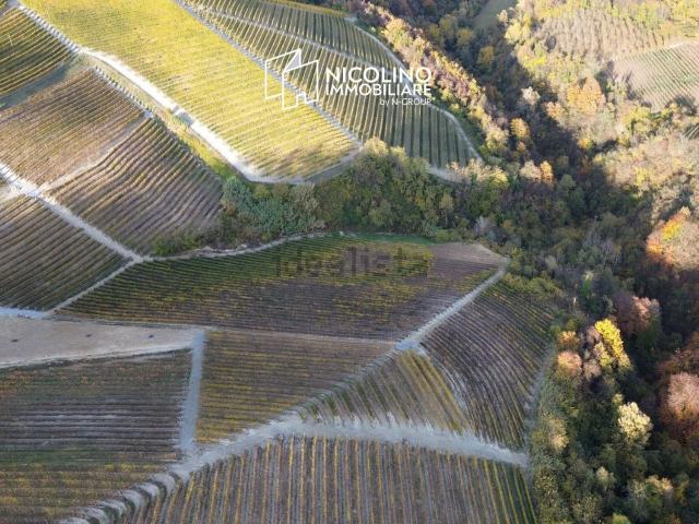 Terreno in vendita a Piemonte, Cuneo