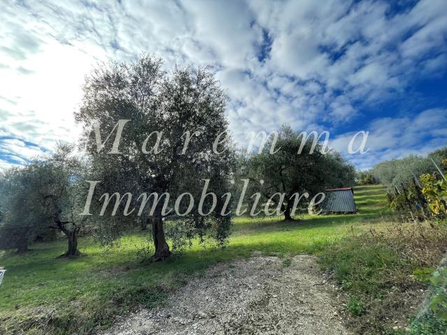 Terreno in vendita a Unione di Comuni Montani Colline del Fiora, Manciano