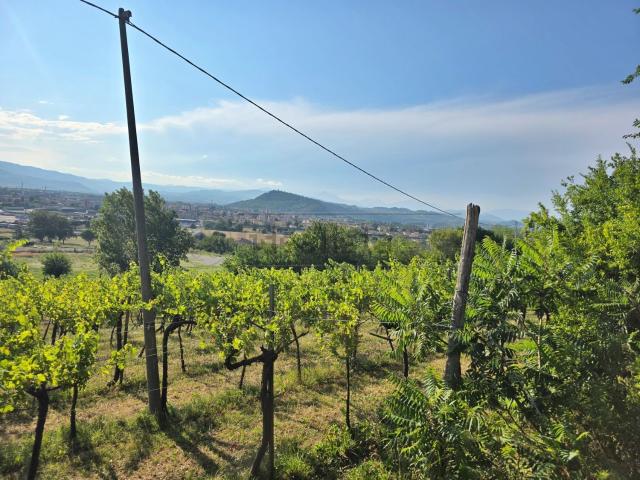Terreno in vendita a Brendola, Vicenza