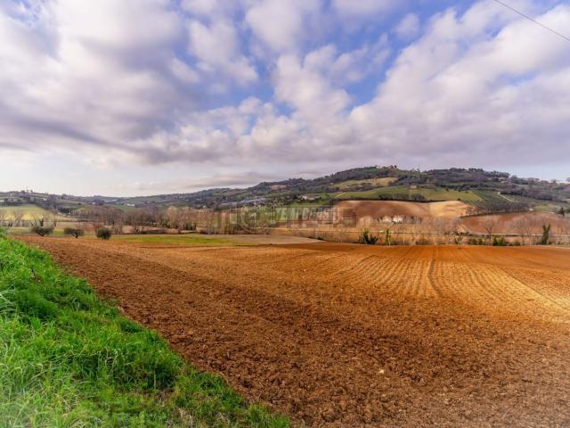 Terreno in vendita a Contrada San Savino, Marche