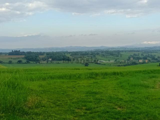 Terreno in vendita a Contrada Santa Maria in Selva, Marche