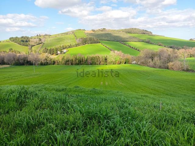 Terreno in vendita a Contrada Santa Maria in Selva, Marche