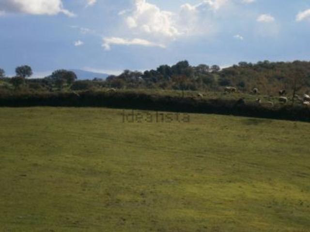 Terreno in vendita a Magliano In Toscana, Toscana