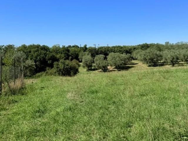 Terreno in vendita a Le Mosse, Montefiascone