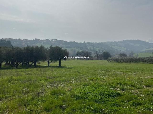 Terreno in vendita a Montegridolfo, Rimini