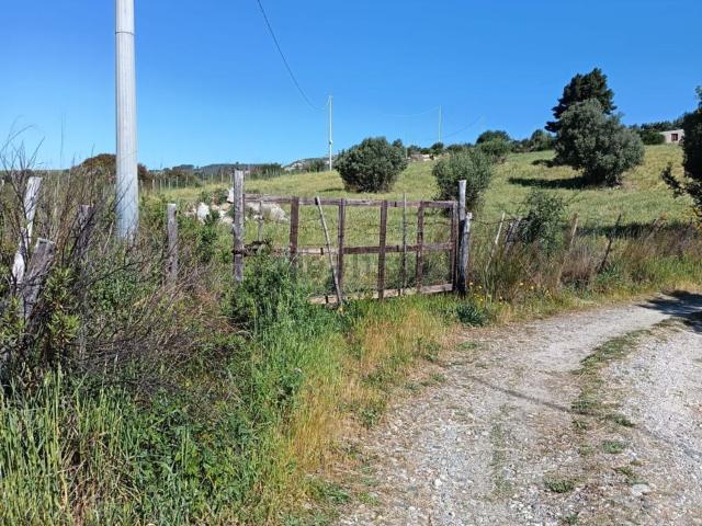 Terreno in vendita a Calabria, Catanzaro