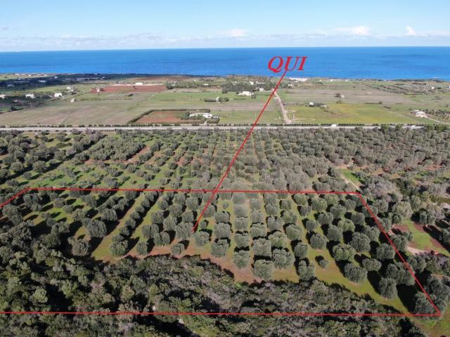 Terreno in vendita a Puglia, Brindisi