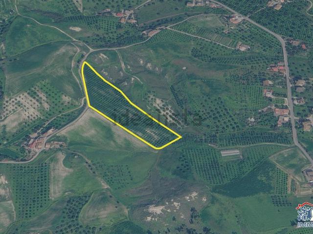 Terreno in vendita a Calabria, Reggio Calabria