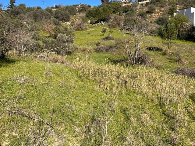 Terreno in vendita a Caltanissetta, Sicilia