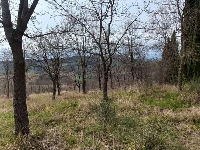 Terreno in vendita a Marche, Ancona