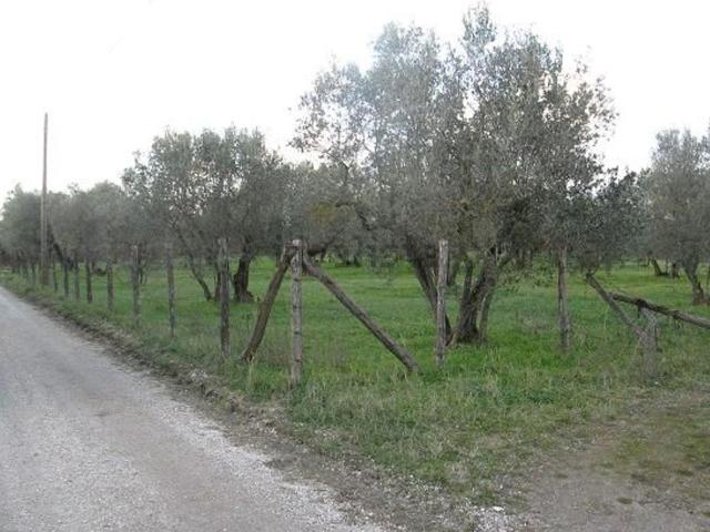 Terreno in vendita a Vetralla, Lazio
