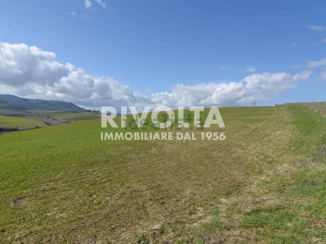 Terreno in vendita a Montalcino, Toscana