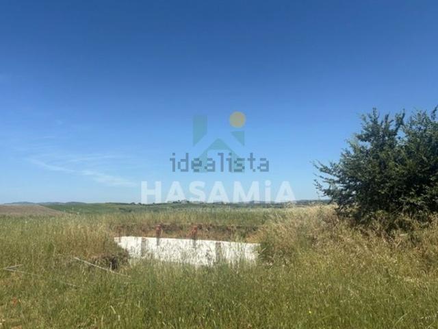 Terreno in vendita a Magliano in Toscana, Grosseto