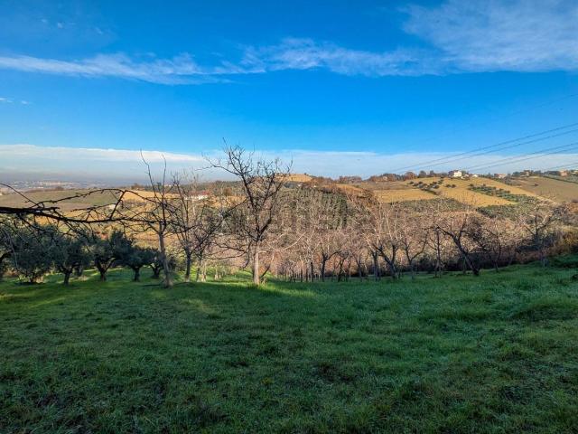 Terreno in vendita a Casalincontrada, Abruzzo