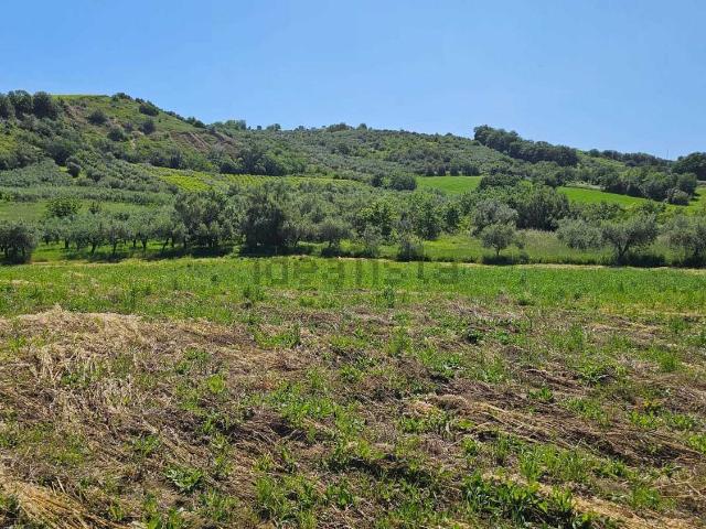 Terreno in vendita a Castel Frentano, Abruzzo