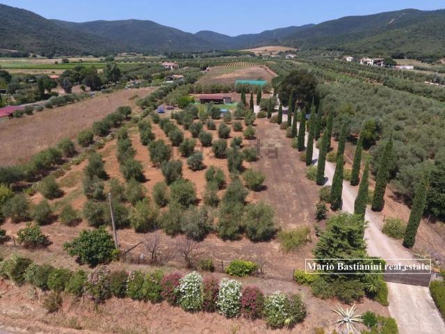 Terreno in vendita a Castiglione della Pescaia, Grosseto