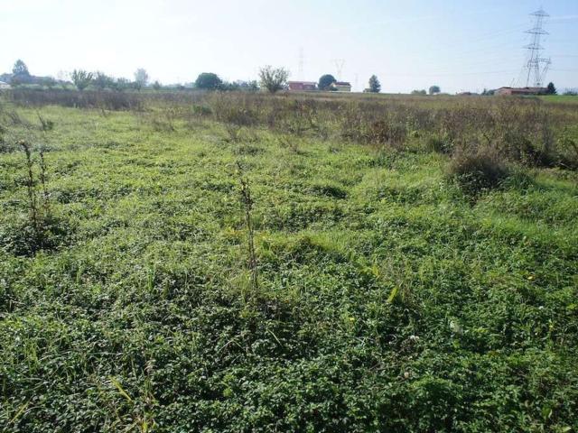 Terreno in vendita a Uzzano E Castello, Toscana