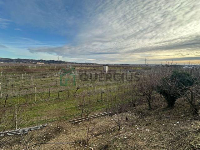 Terreno in vendita a Lavagno, Colognola Ai Colli