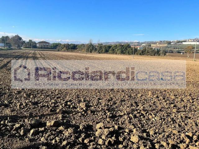 Terreno in vendita a San Lorenzo, Marche