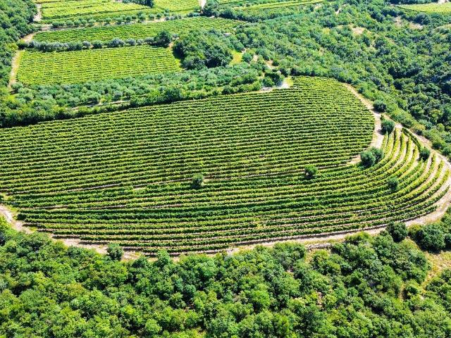 Terreno in vendita a Monte, Sant'ambrogio Di