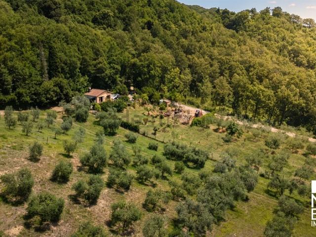 Terreno in vendita a Sansepolcro, Toscana