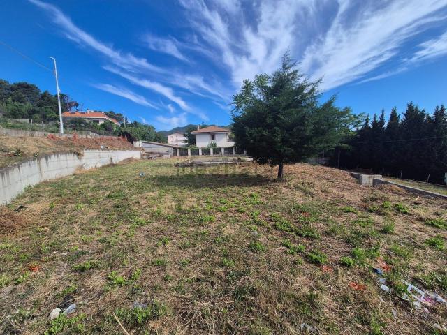 Terreno in vendita a Sant'Elia, Calabria