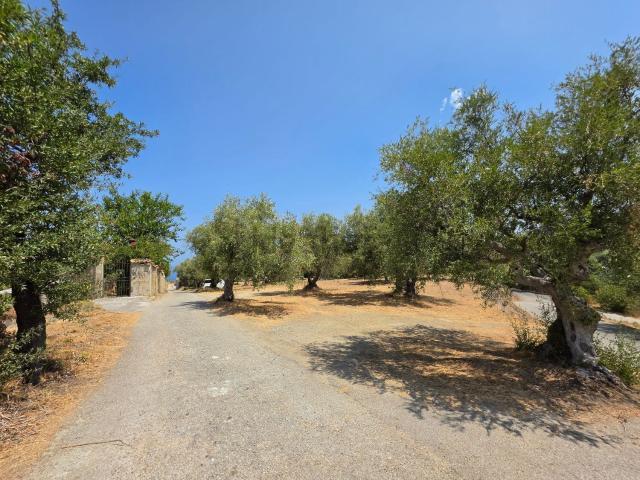 Terreno in vendita a San Martino, Capo D'orlando
