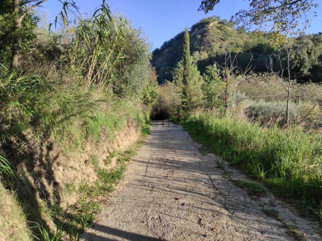 Terreno in vendita a Calabria, Cosenza