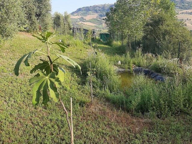 Terreno in vendita a Zona Industriale Bore Tesino, Marche