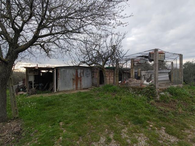 Terreno in vendita a Narni, Umbria