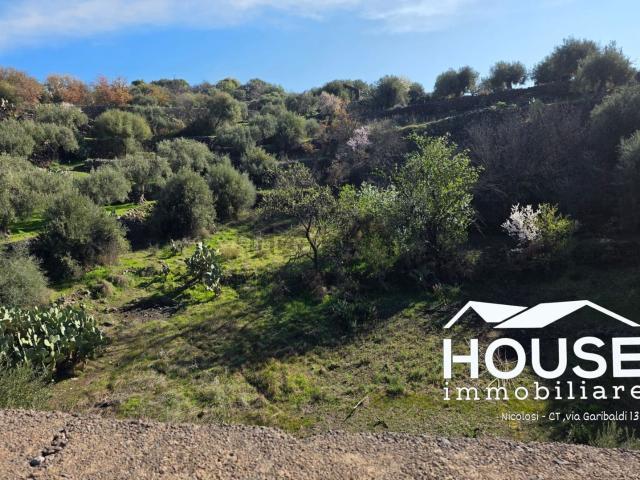 Terreno in vendita a Santa Maria Di Licodia, Sicilia