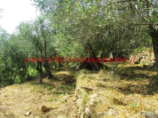 Terreno in vendita a Verezzo, Sanremo