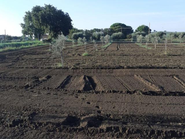 Terreno in vendita a Castiglione Della Pescaia, Toscana