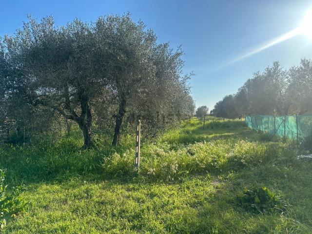 Terreno in vendita a Rugginosa, Monte Argentario