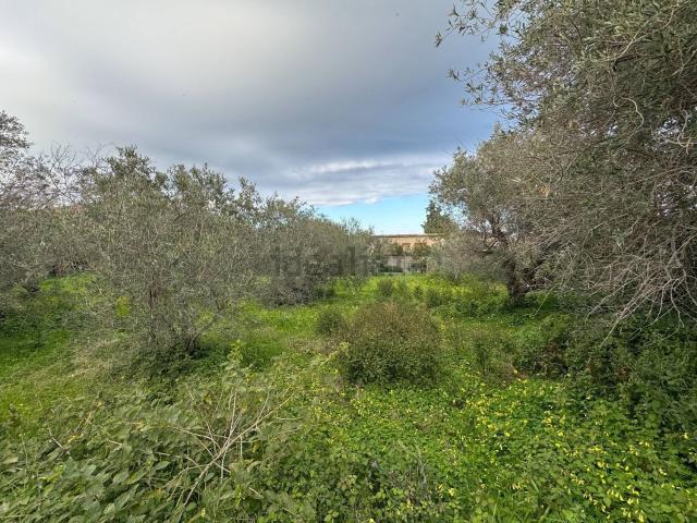 Terreno in vendita a VI Circoscrizione, Messina