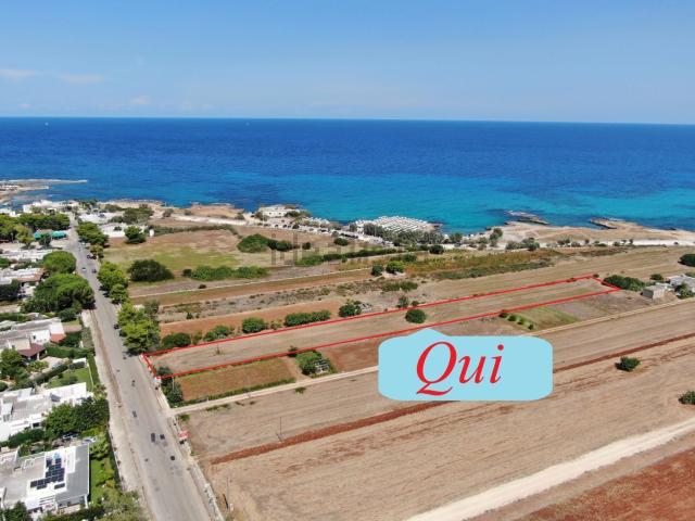 Terreno in vendita a Puglia, Brindisi