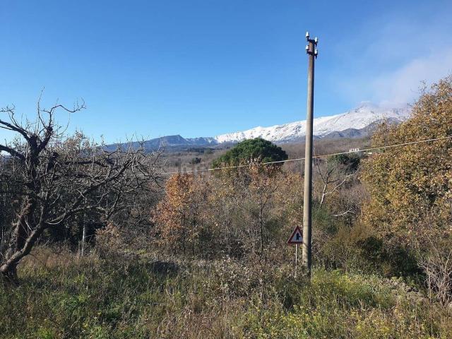 Terreno in vendita a Sant'alfio, Sicilia